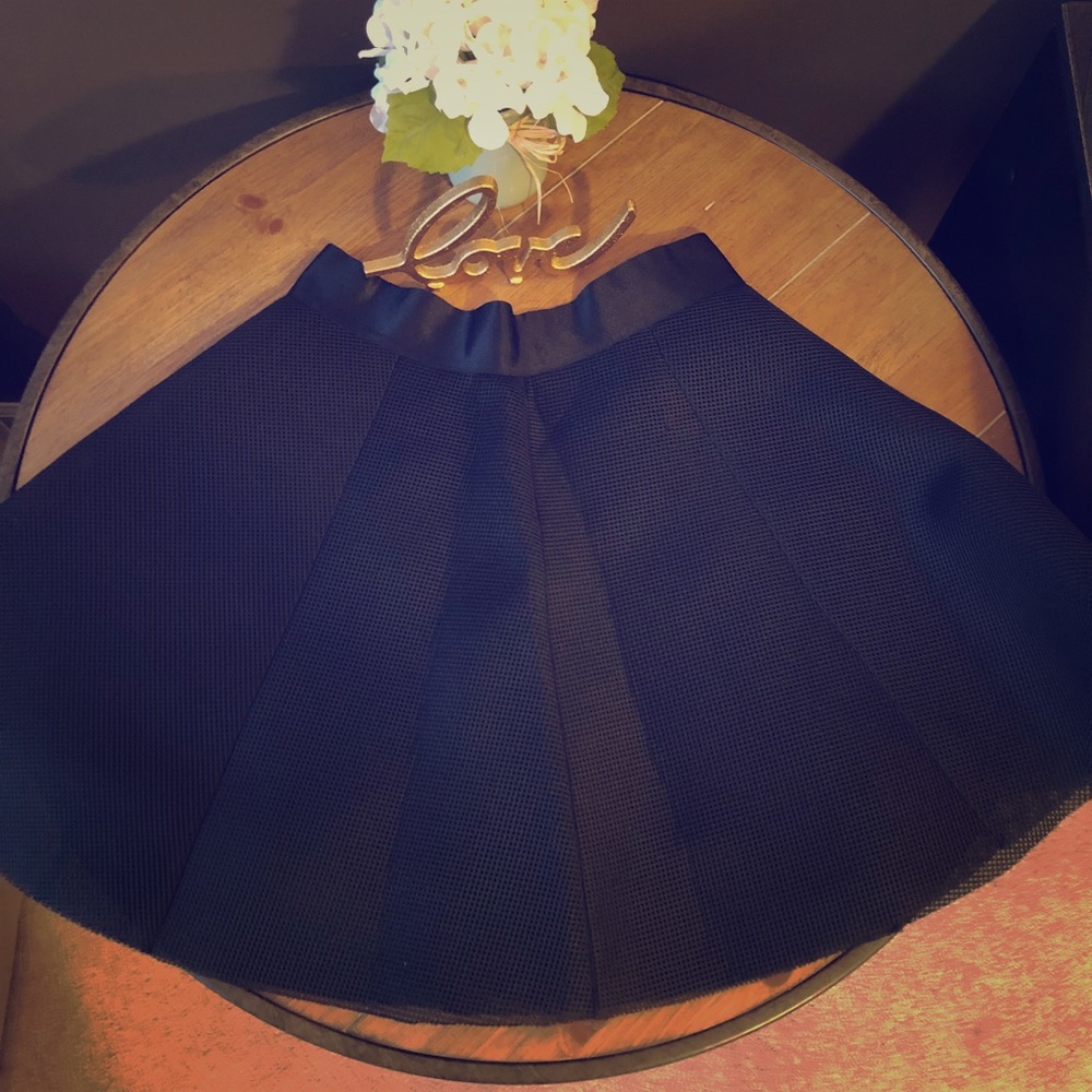 Express Mesh Skirt. Women’s Size 6.